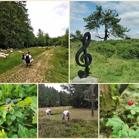 Apartment Fewo-bergseeoase