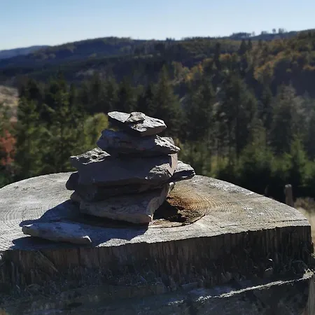 Fewo-bergseeoase Daire Winterberg