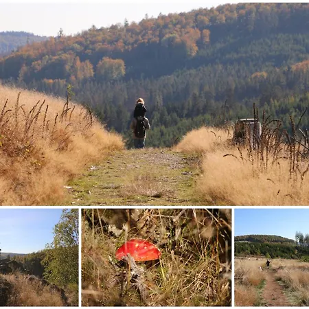 Fewo-bergseeoase * 빈터베르크