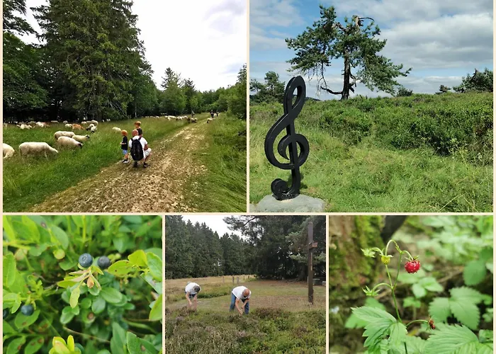 Appartement Fewo-bergseeoase