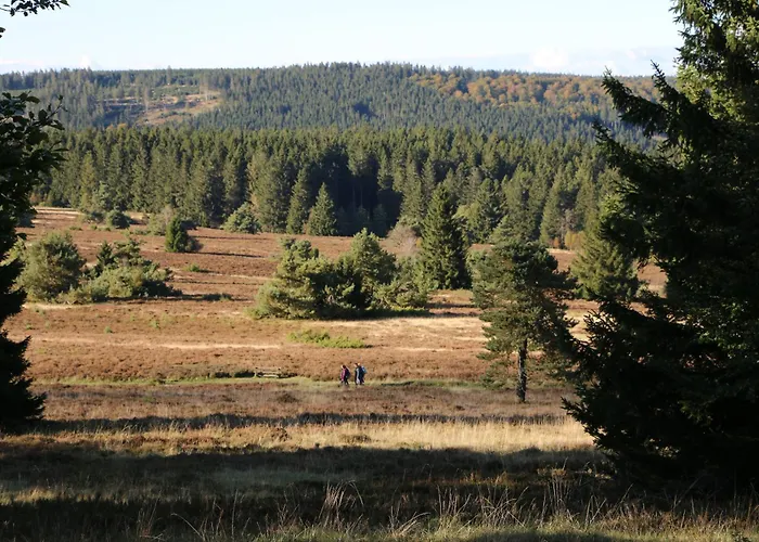 Appartement Fewo-bergseeoase Winterberg