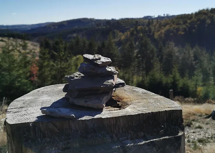 Fewo-bergseeoase شقة وينتربرغ