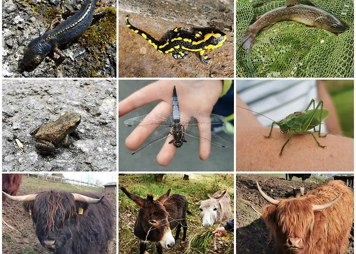 Fewo-bergseeoase Appartement *